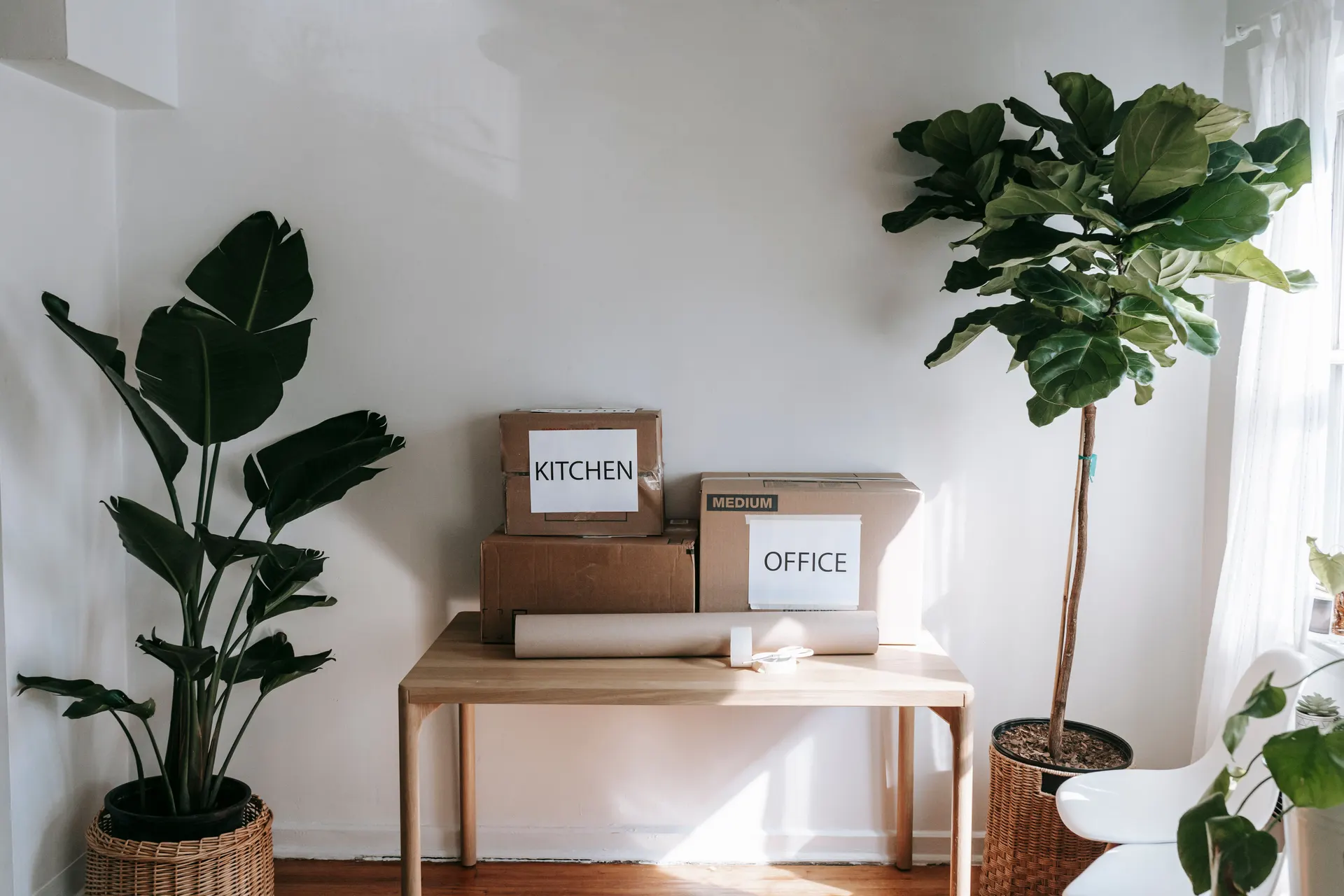 Labelled moving boxes on a wooden table between two potted plants in a sunlit room