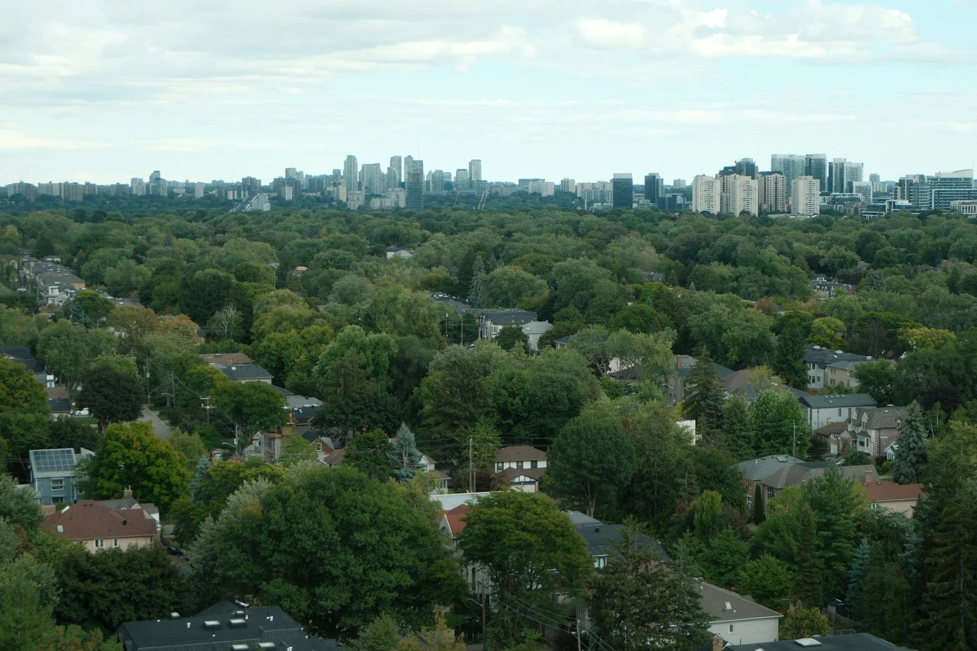 Leafy North York streets near Yonge and Doris with the city skyline beyond